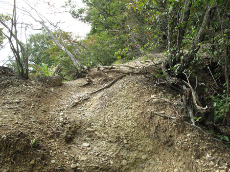 20151006hike (205)